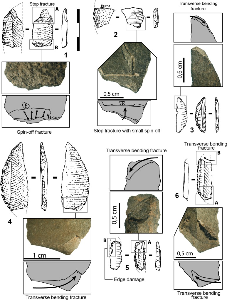 Fig 19