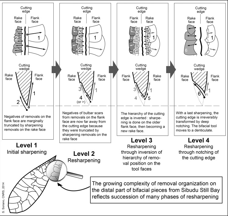 Fig 6