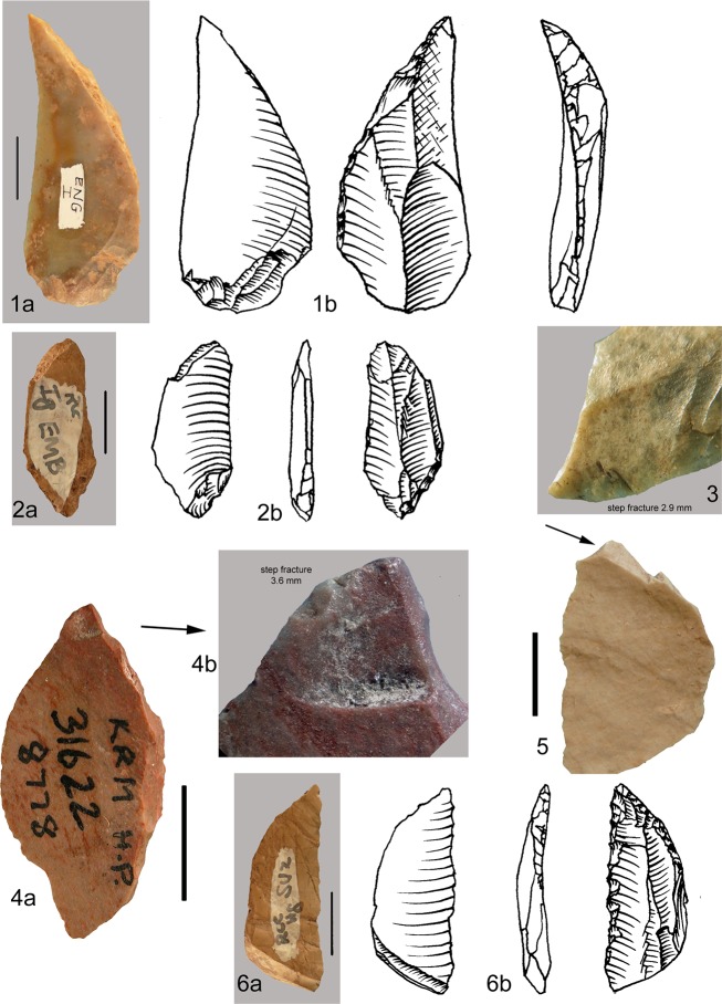 Fig 20