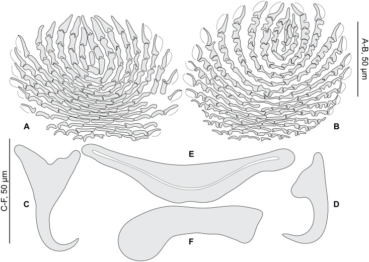 Fig 5