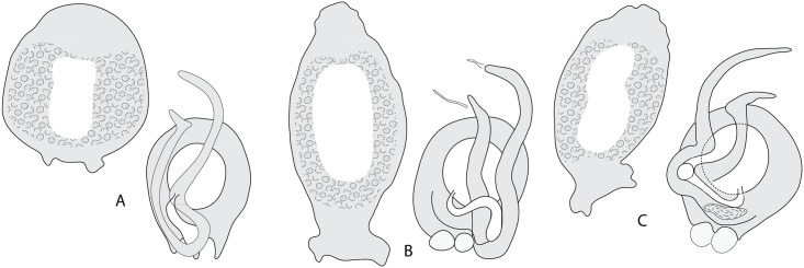 Fig 8