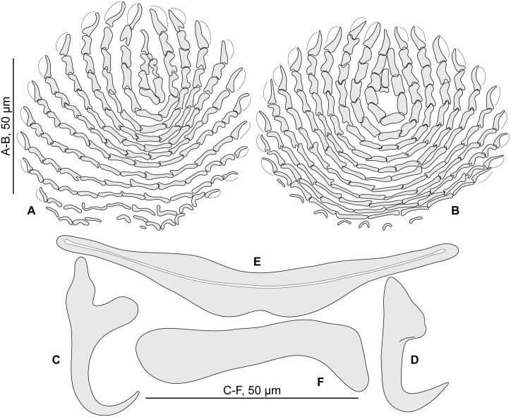 Fig 11