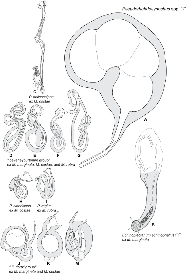 Fig 14