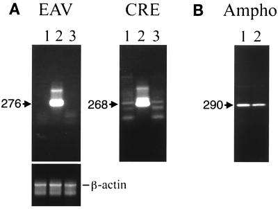 FIG. 6