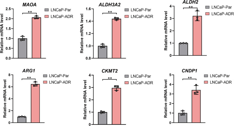 Fig. 12