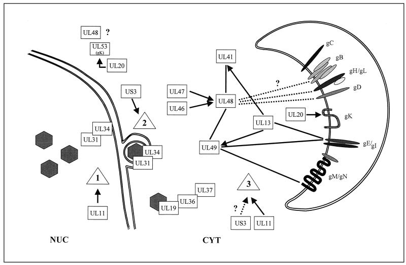 FIG. 3.