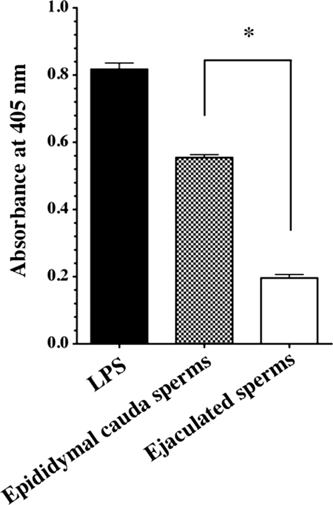 FIGURE 9.