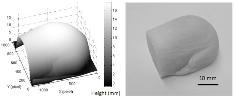 Fig. 11