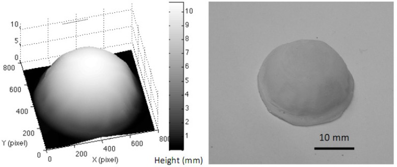 Fig. 8