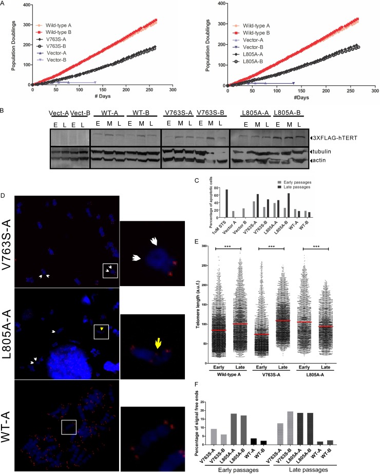 FIG 4