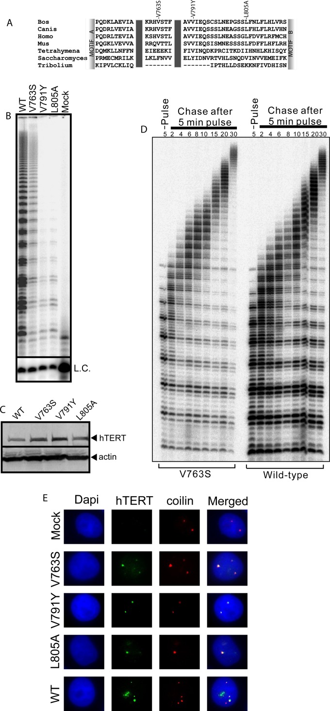 FIG 1