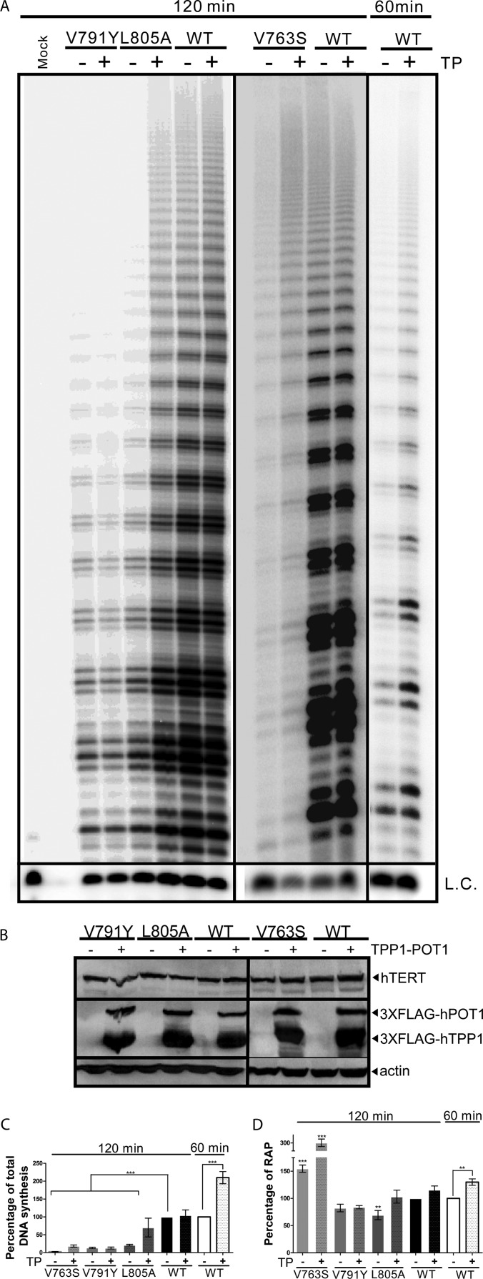 FIG 2