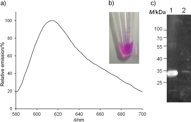 Fig. 9