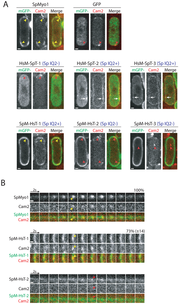 Figure 6: