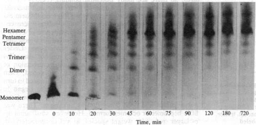 graphic file with name pnas00360-0089-a.jpg