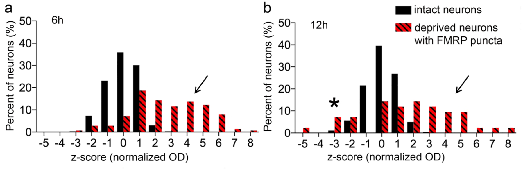 Figure 6.