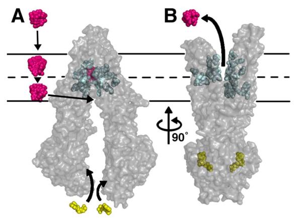 Fig. 4