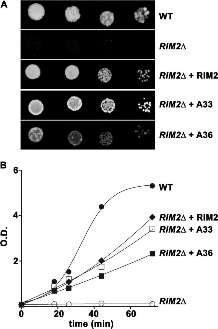 FIGURE 9.