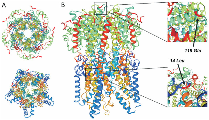 Figure 5