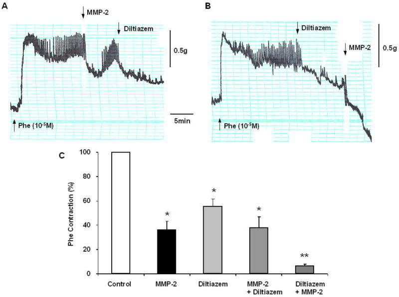 Fig. 4