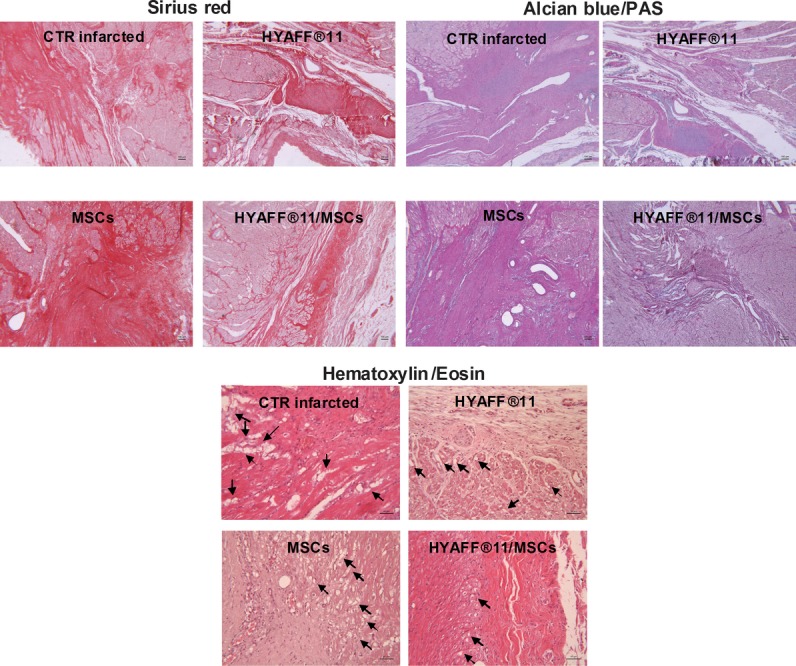 Fig. 8