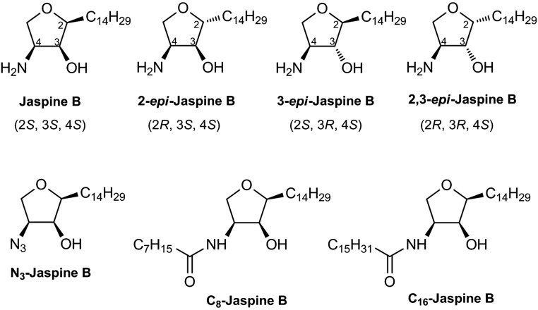 Fig. 1.