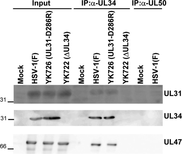 FIG 5