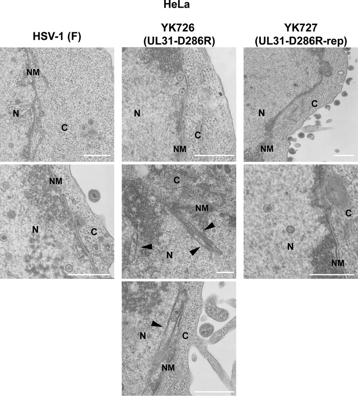 FIG 12