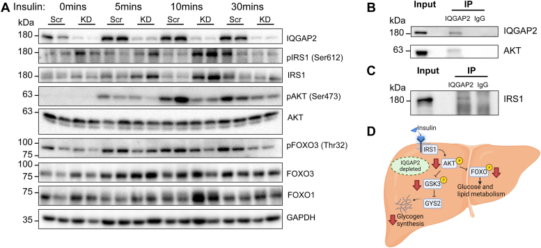 Figure 6