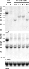 FIGURE 3.