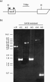 FIGURE 4.