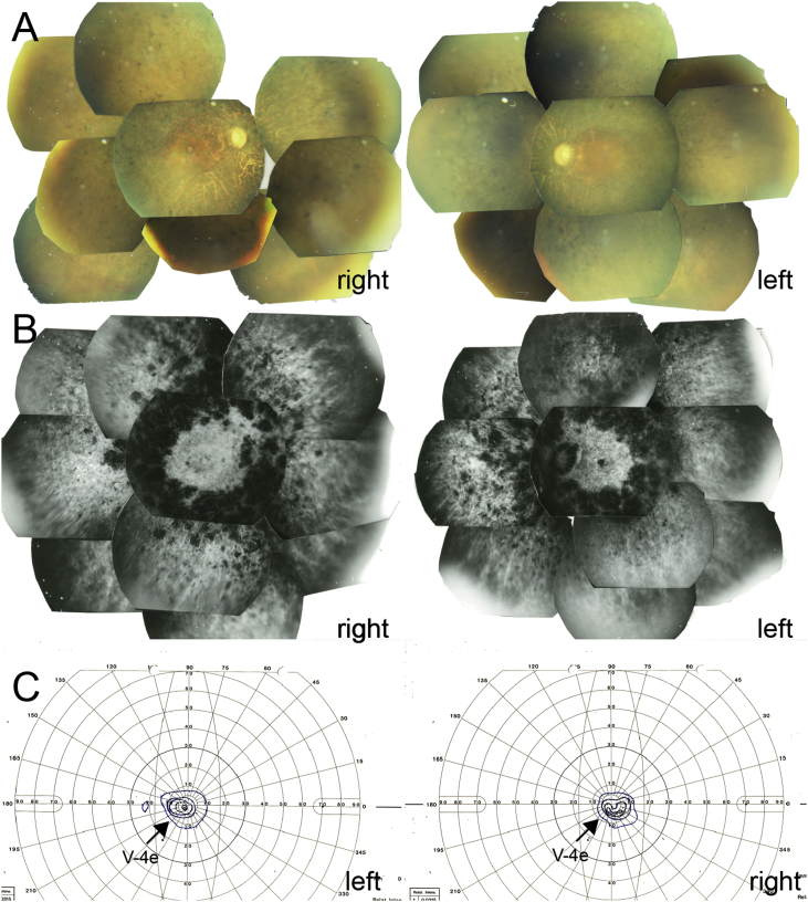 Fig. 2