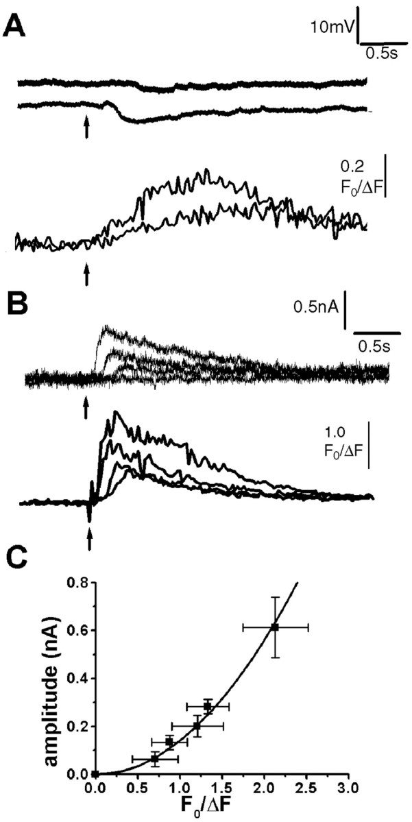 Fig. 7.