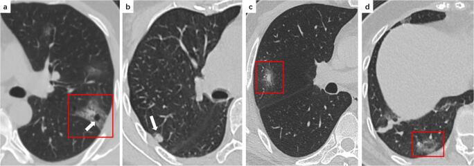 Fig. 5