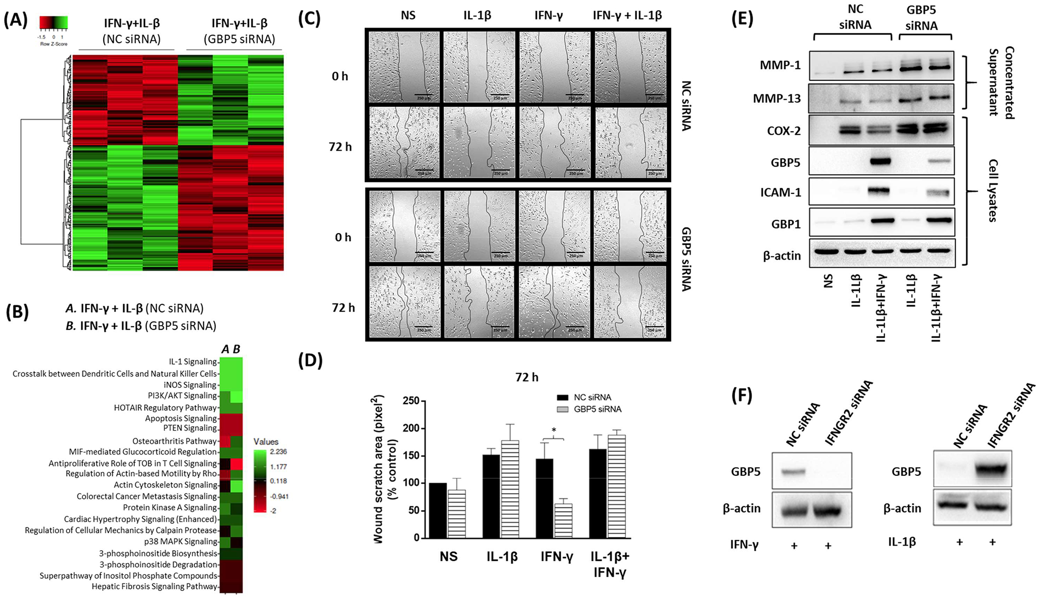 Figure 5: