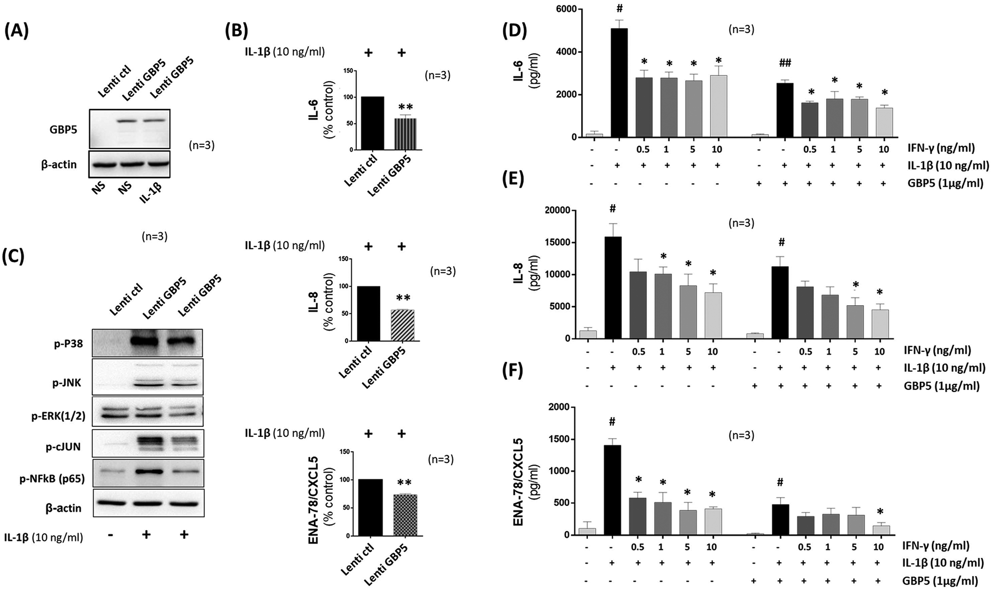 Figure 4: