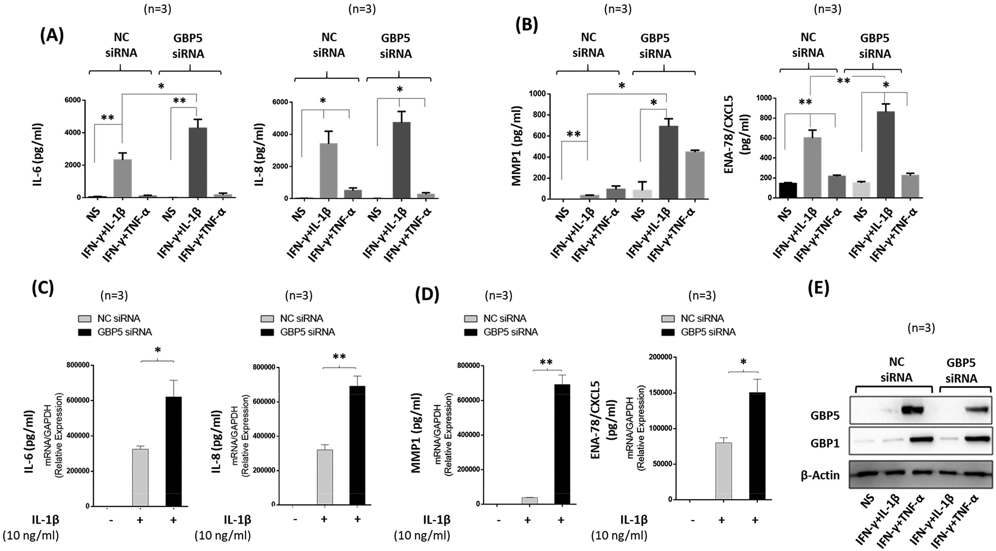 Figure 3: