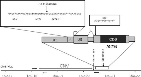 Figure 2.