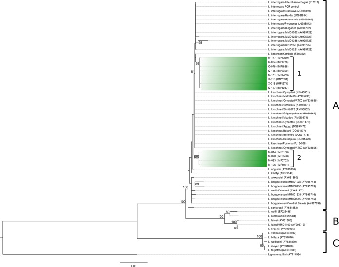 FIG 3 