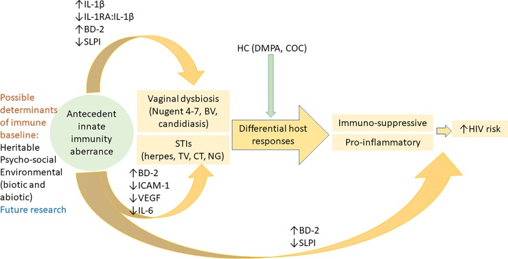 Fig 4