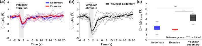 [Figure 5]