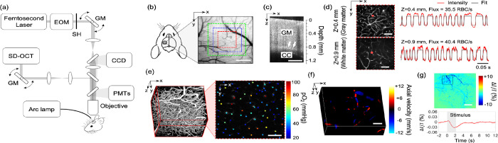 [Figure 2]