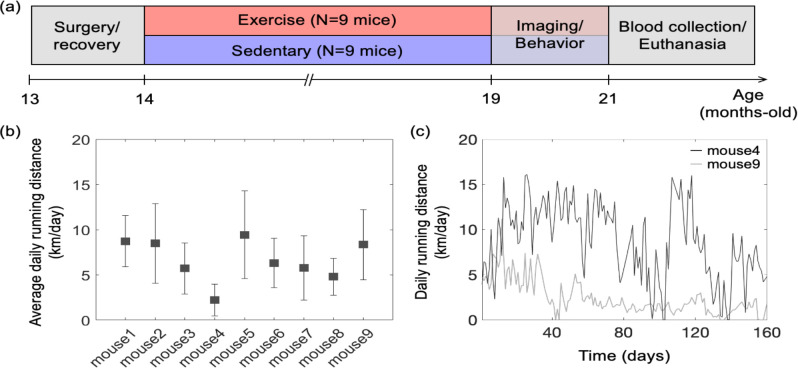 [Figure 1]