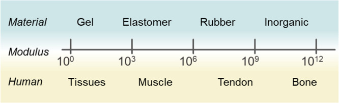 Figure 18