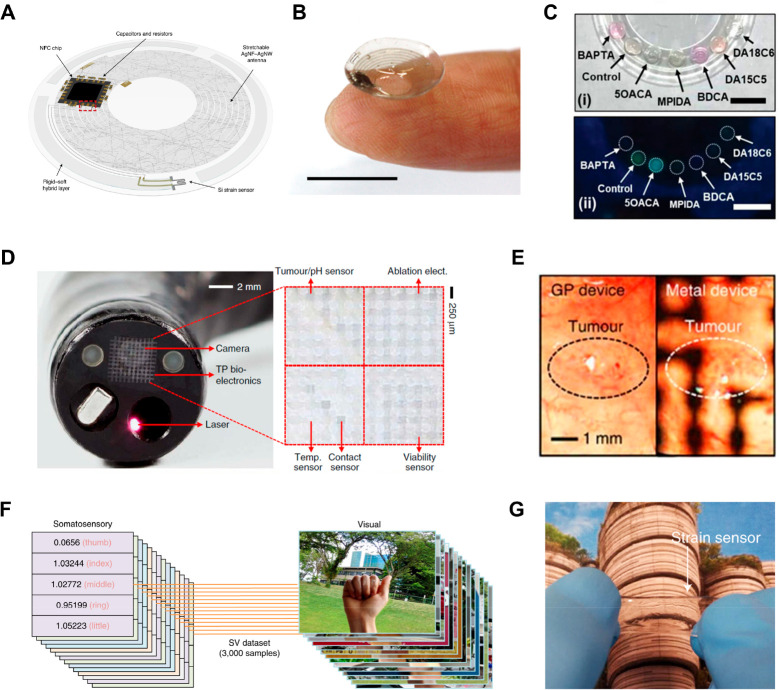 Figure 35