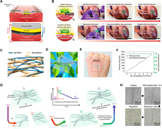 Figure 23