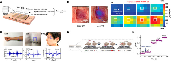 Figure 29