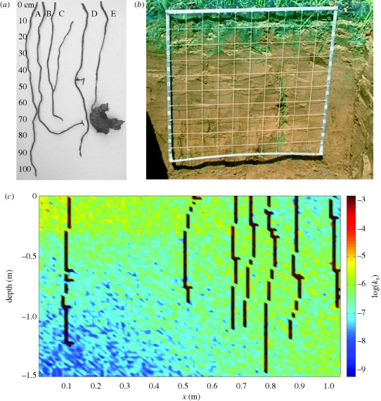 Figure 1.