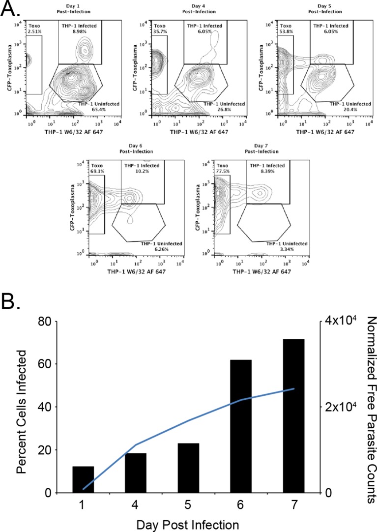 Figure 1.