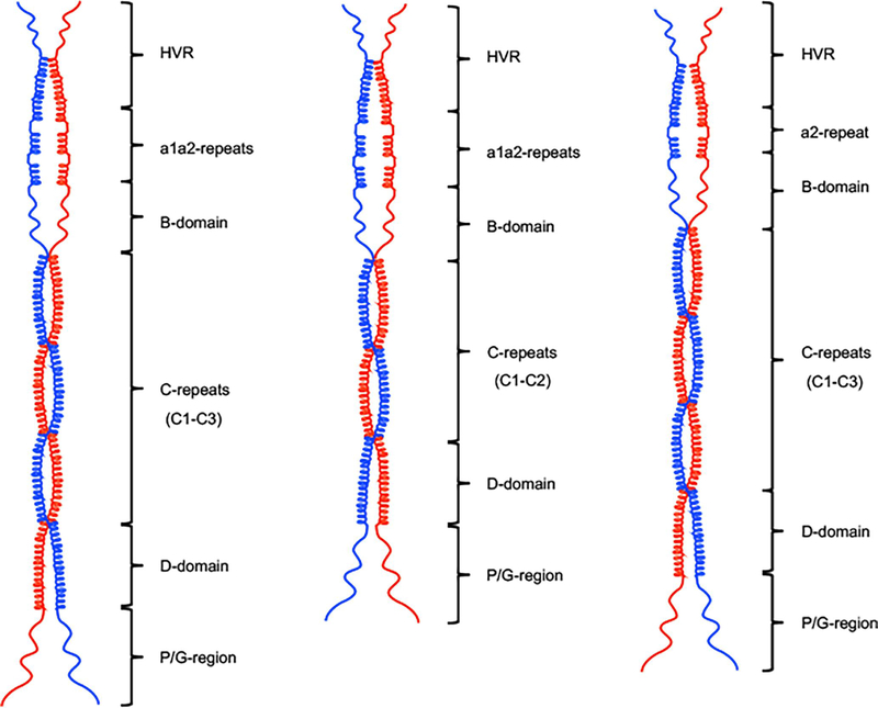 Fig. 8.